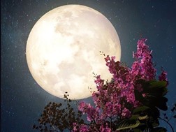 Πανσέληνος Οκτωβρίου 2023: Απόψε το βράδυ στον ουρανό το «Φεγγάρι του Κυνηγού»